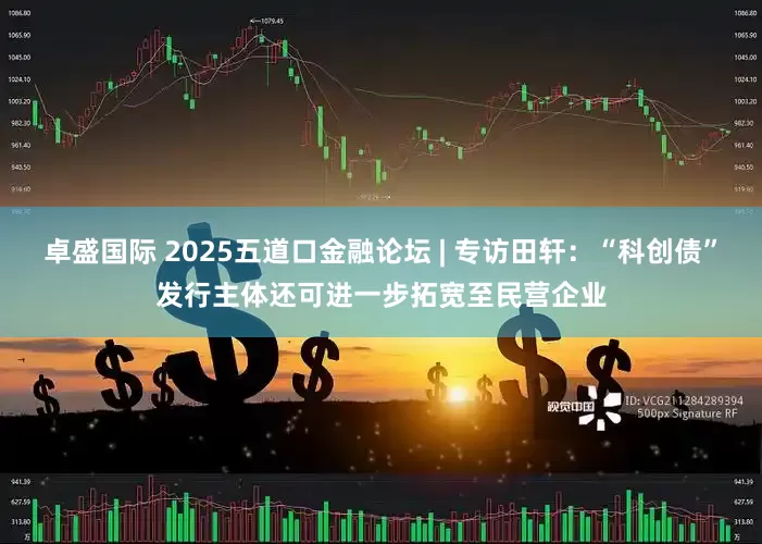 卓盛国际 2025五道口金融论坛 | 专访田轩：“科创债”发行主体还可进一步拓宽至民营企业