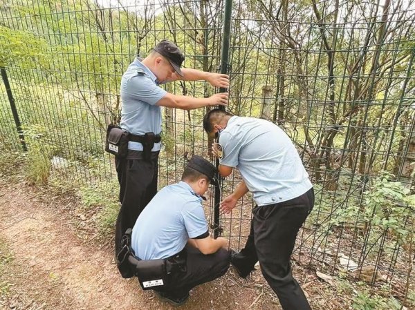 鼎盛证券 工作人员携手救助野生动物重返自然