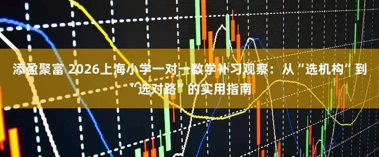 添盈聚富 2026上海小学一对一数学补习观察：从“选机构”到“选对路”的实用指南